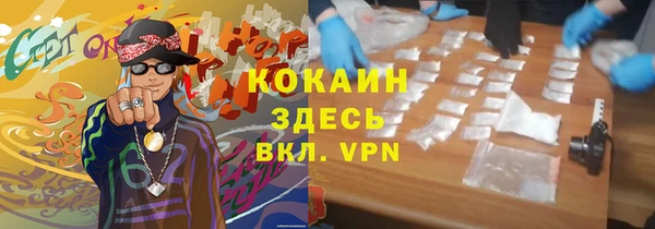 спайс Тавда
