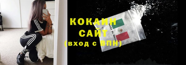 твердый Вяземский