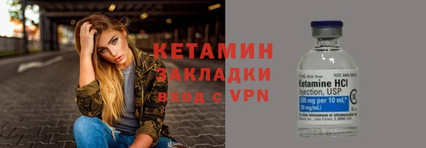 твердый Вяземский