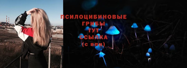 твердый Вяземский