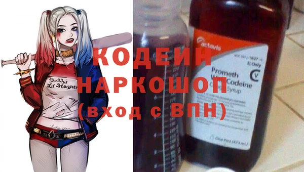 круглые Тайга
