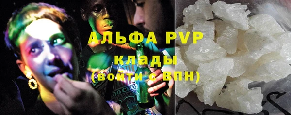 твердый Вяземский