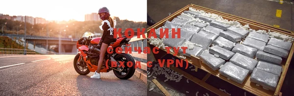 твердый Вяземский