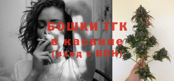 спайс Тавда
