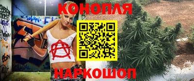 наркотики Новозыбков