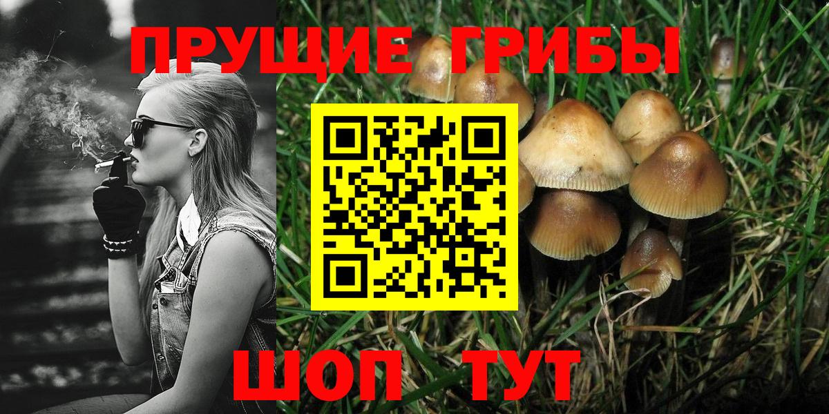 Псилоцибиновые грибы Psilocybe  сколько стоит  Омск  Вход с VPN 